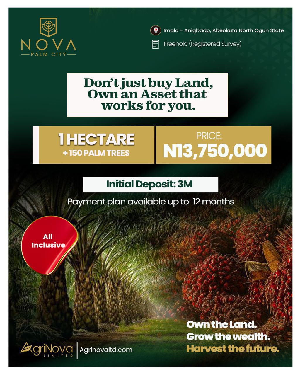 1 Acre Oil Palm Farm in Imala-Anigbado, Abeokuta North For Sale in in Imala-Anigbado, Abeokuta North Ogun State Ogun Ogun photo 2