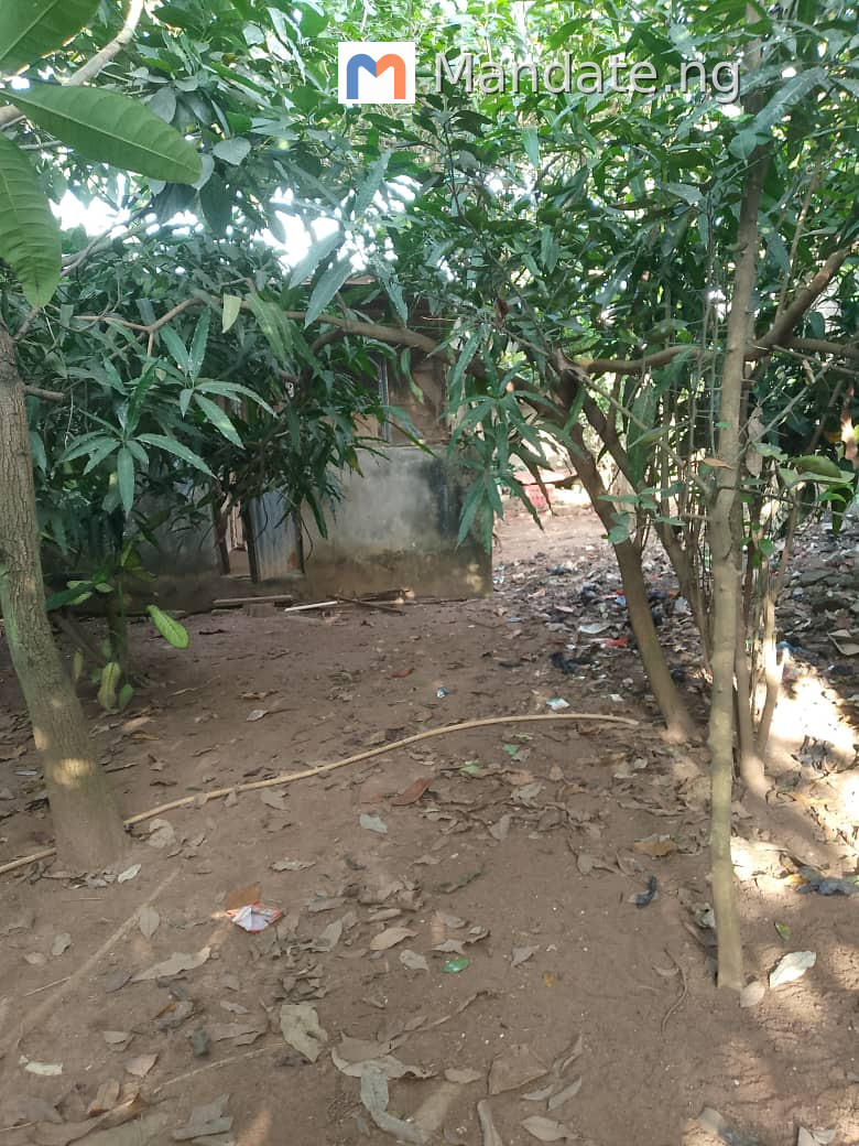 22 by 120 feet land for sale off Command Road, Ipaja For Sale in off command road Ipaja Command Road Command Lagos photo 2