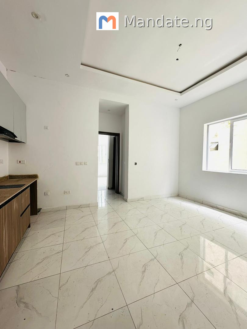1 Bedroom Apartment for Rent in Ikate, Lekki For Rent in in Ikate, Lekki Ikate Lekki Lagos photo 4