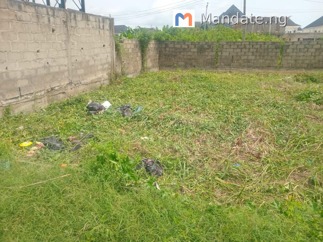 Land for Sale in Sangotedo, 330 SQM For Sale in in Thera Annex, Sangotedo Sangotedo Ajah Lagos photo 6
