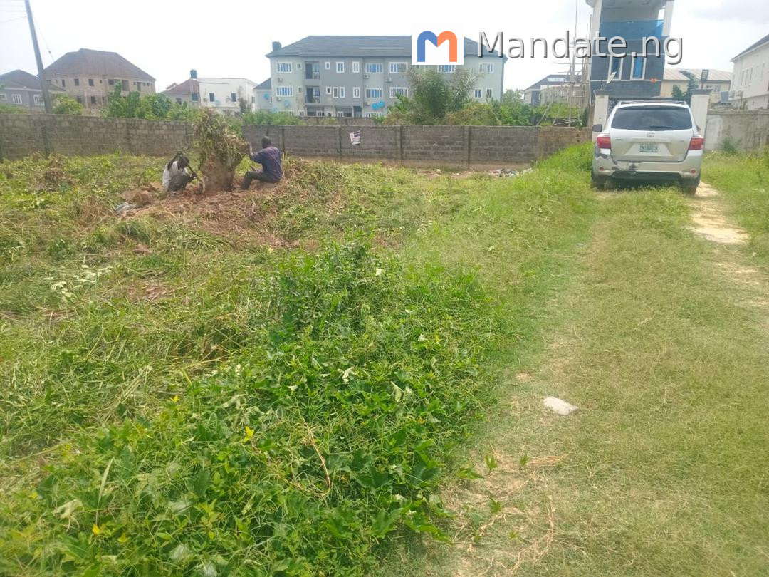 Land for Sale in Sangotedo, 330 SQM For Sale in in Thera Annex, Sangotedo Sangotedo Ajah Lagos photo 7
