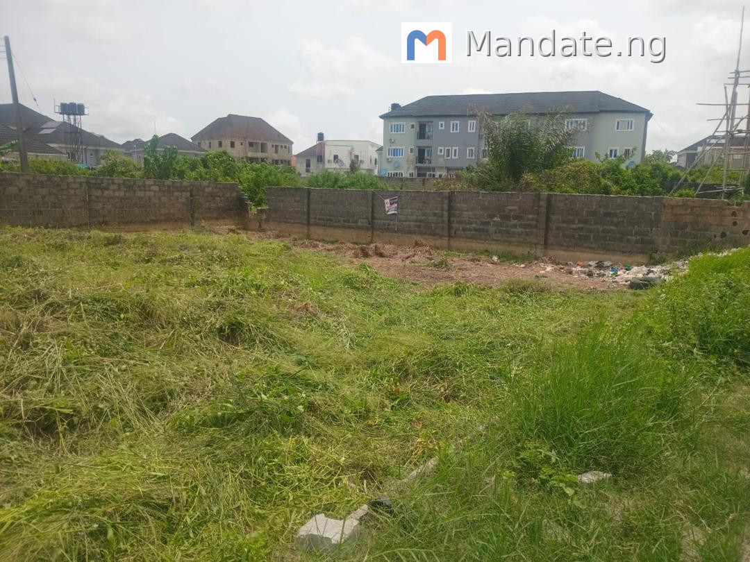 Land for Sale in Sangotedo, 330 SQM For Sale in in Thera Annex, Sangotedo Sangotedo Ajah Lagos photo 8