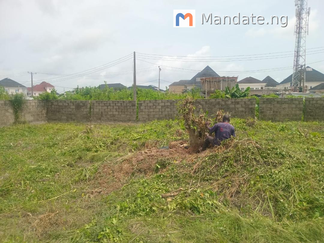 Land for Sale in Sangotedo, 330 SQM For Sale in in Thera Annex, Sangotedo Sangotedo Ajah Lagos photo 10