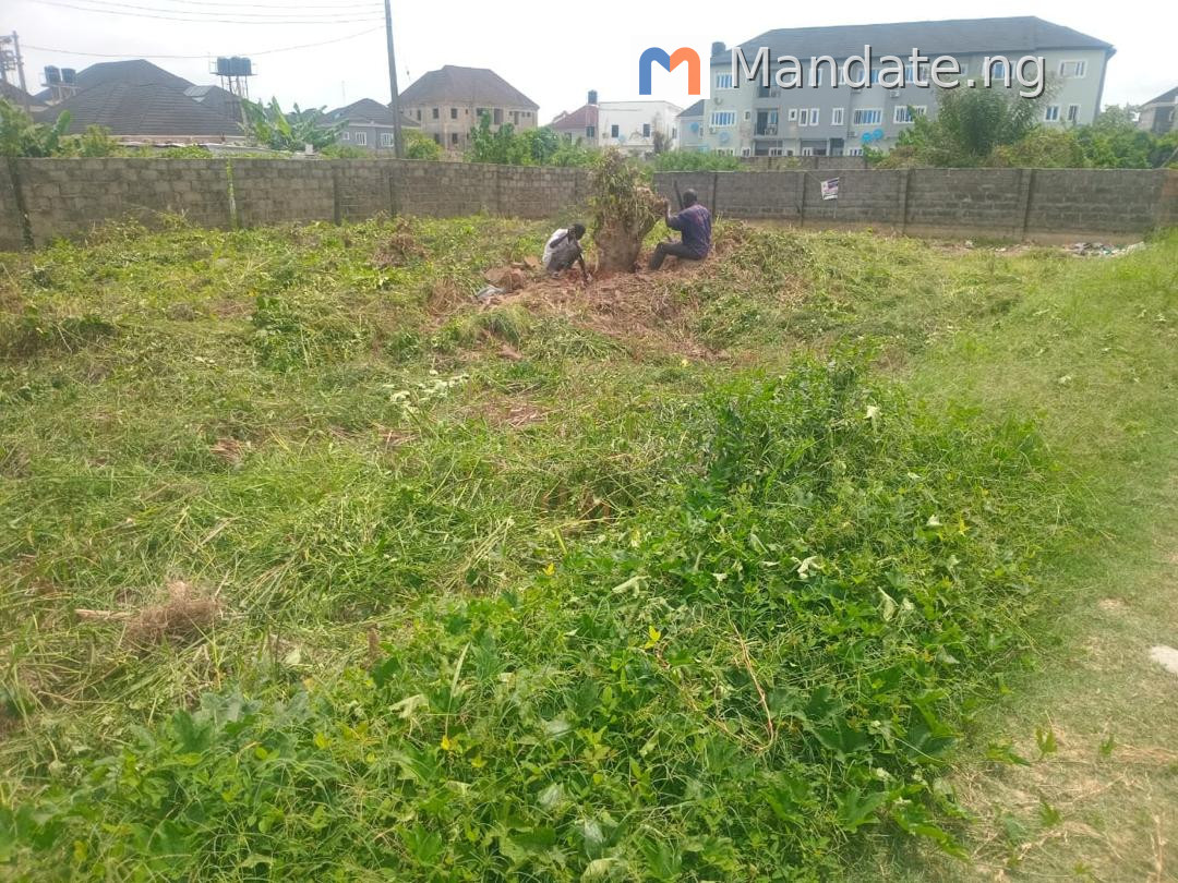 Land for Sale in Sangotedo, 330 SQM For Sale in in Thera Annex, Sangotedo Sangotedo Ajah Lagos photo 15