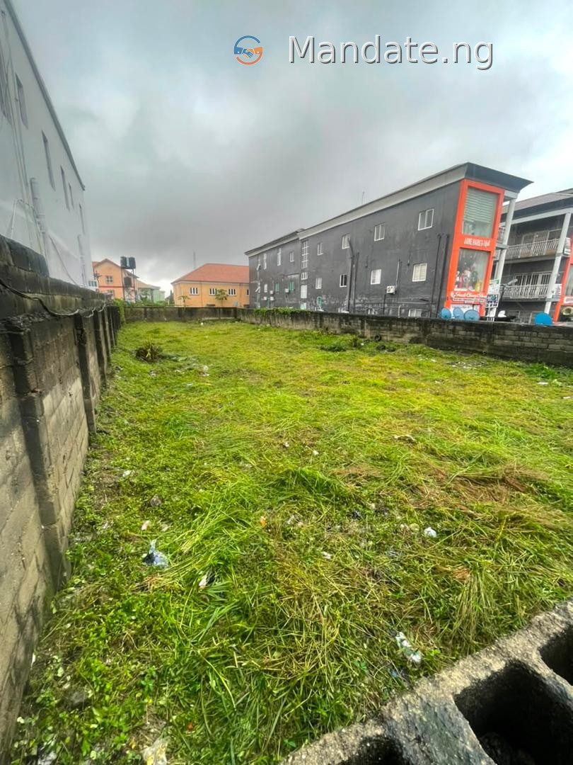 1000sqm Commercial Land for Sale in Sangotedo, Ajah For Sale in directly facing Lekki-Epe Expressway, Sangotedo, Lagos Sangotedo Ajah Lagos photo 1