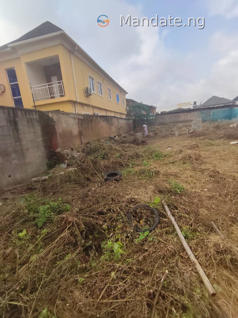 Full Plot of Land Directly Behind Omole Phase 2 For Sale in directly behind Omole Phase 2 Omole Lagos photo 1