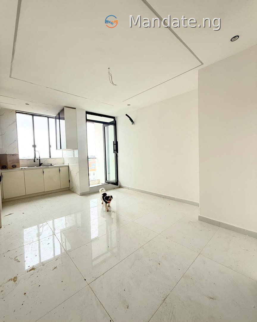 1 Bedroom Apartment for Rent in Ikate, Lekki For Rent in in Ikate, Lekki Ikate Lekki Lagos photo 2