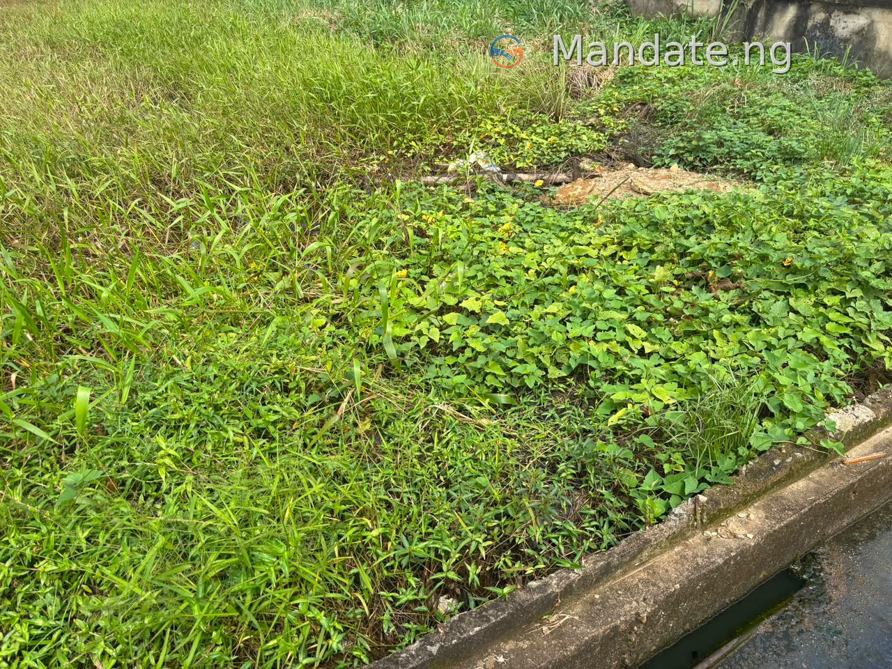 Land for Sale in Sangotedo, Ajah - 800SQM For Sale in Monastery Road, Sangotedo, Ajah Sangotedo Ajah Lagos photo 2