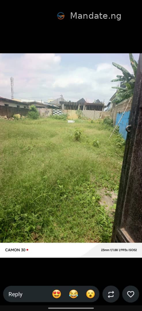 Full Plot of Land Directly Behind Omole Phase 2 For Sale in directly behind Omole Phase 2 Omole Lagos photo 2