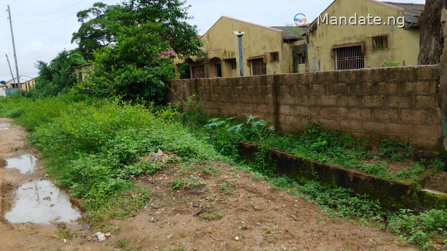 Half Plot of Land at the Back of Navy School, Ikeja For Sale in at the back of Navy School, Ikeja Peace Estate Lagos photo 1